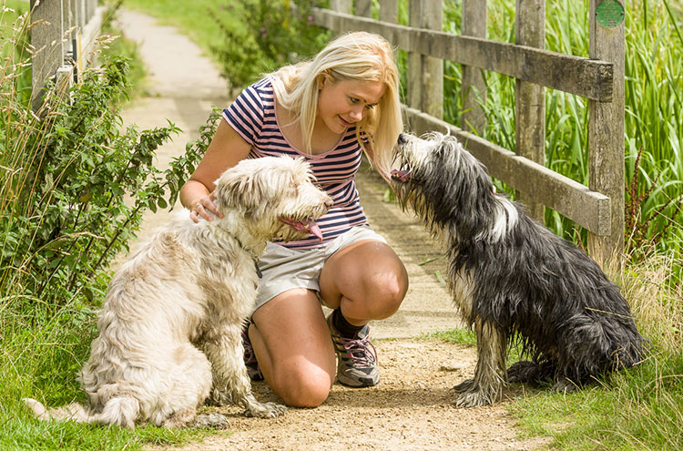 Dog Behaviour Specialist