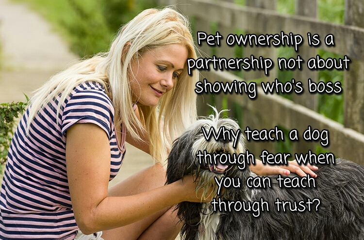 Training through trust not though fear